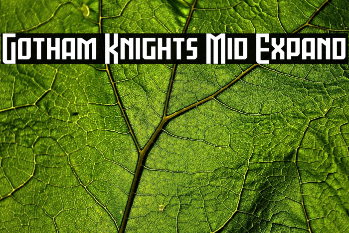 Gotham Knights Mid Expand Example 2