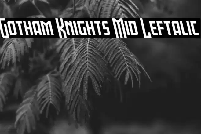Gotham Knights Mid Leftalic Font examples