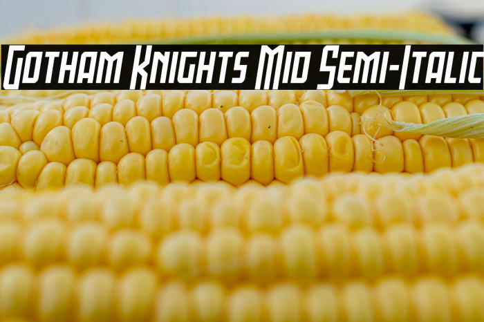 Gotham Knights Mid Semi-Italic Example 3