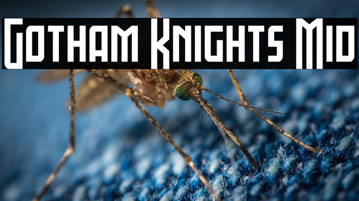 Gotham Knights Mid Example 1