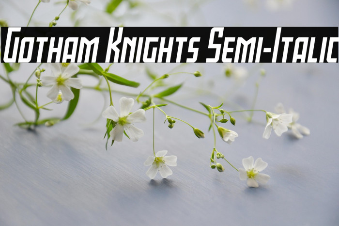 Gotham Knights Semi-Italic Example 3