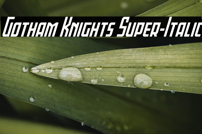 Gotham Knights Super-Italic Example 2