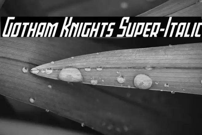Gotham Knights Super-Italic Font examples