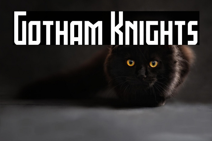 Gotham Knights Example 2