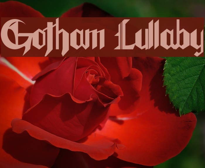 Gotham Lullaby Example 3