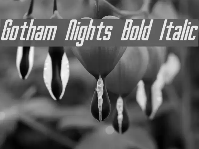 Gotham Nights Bold Italic Font examples