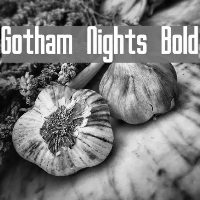 Gotham Nights Bold Font examples