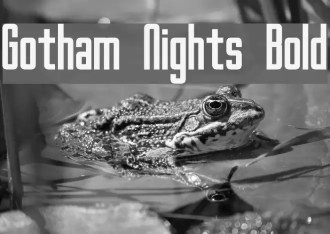 Gotham Nights Bold Font examples