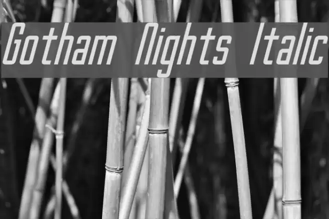 Gotham Nights Italic  examples