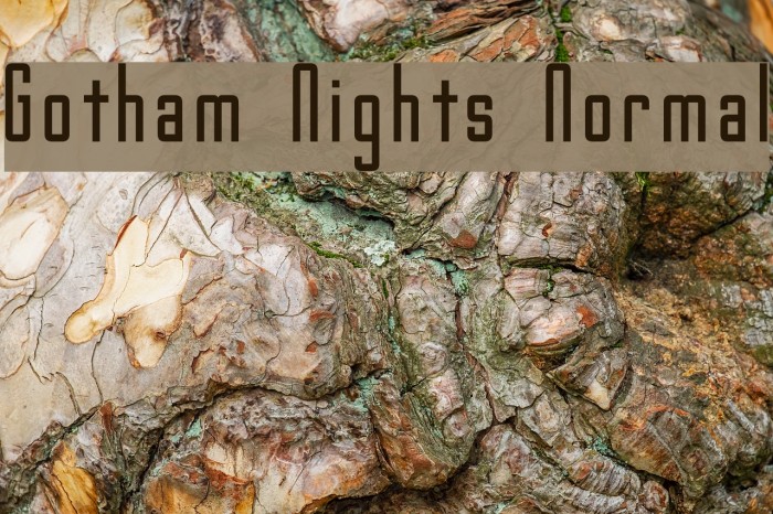 Gotham Nights Normal Font examples