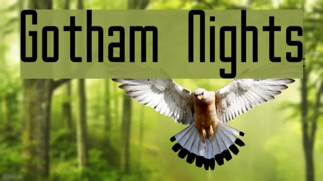 Gotham Nights Example 2