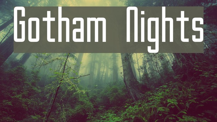 Gotham Nights Font examples