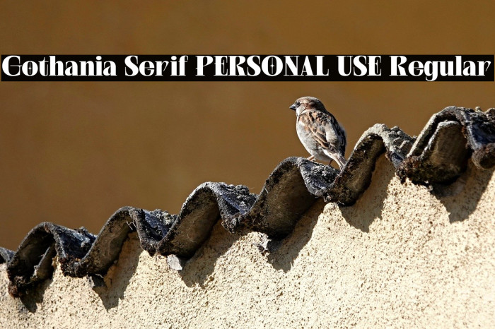 Gothania Serif PERSONAL USE Regular Example 1
