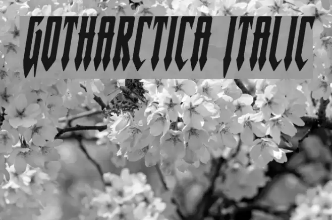 Gotharctica Italic Font examples