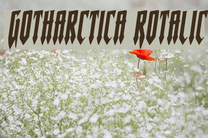 Gotharctica Rotalic Font examples