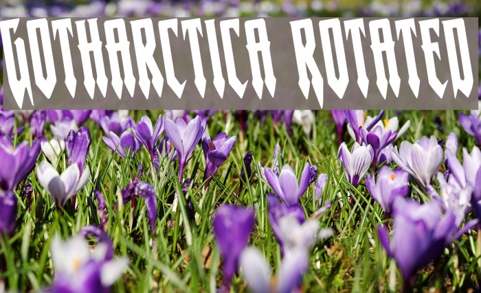 Gotharctica Rotated Example 3