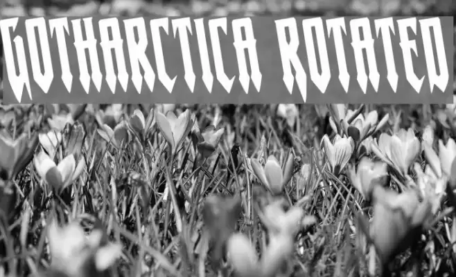 Gotharctica Rotated Font examples