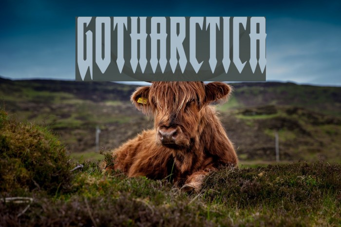 Gotharctica Font examples