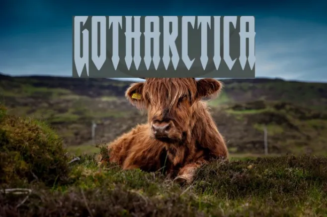 Gotharctica Example 3