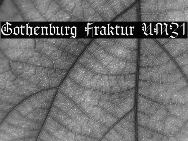 Gothenburg Fraktur UMZ1 Font examples