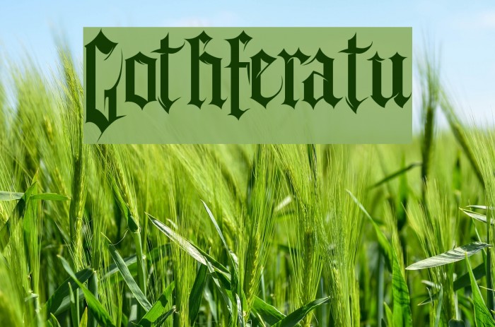 Gothferatu Example 2