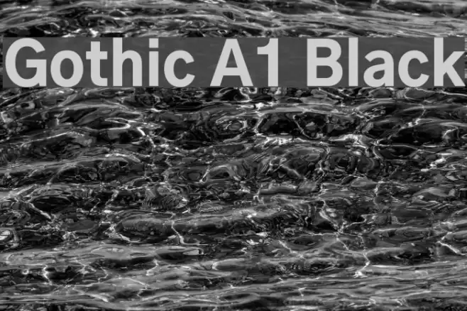 Gothic A1 Black Font examples