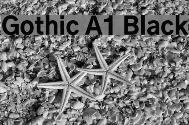 Gothic A1 Black Font examples