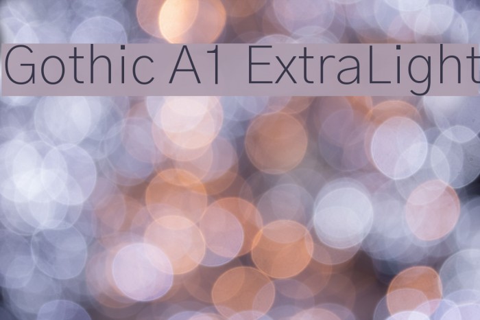 Gothic A1 ExtraLight Font examples