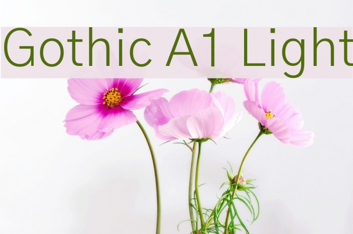 Gothic A1 Light Font examples