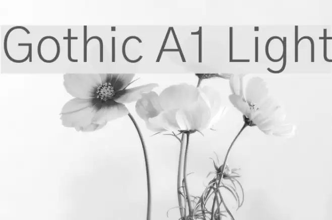 Gothic A1 Light  examples