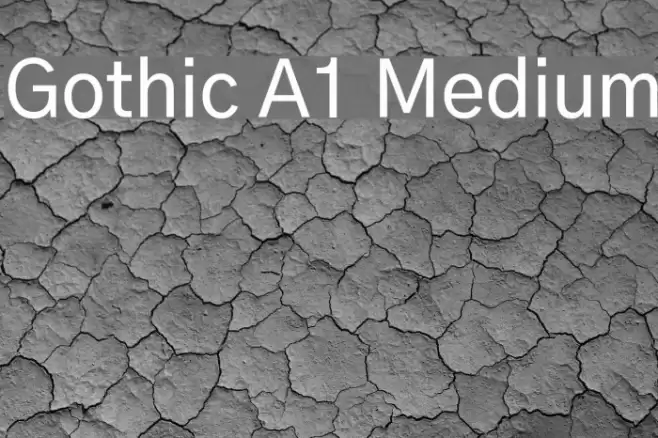 Gothic A1 Medium Font examples