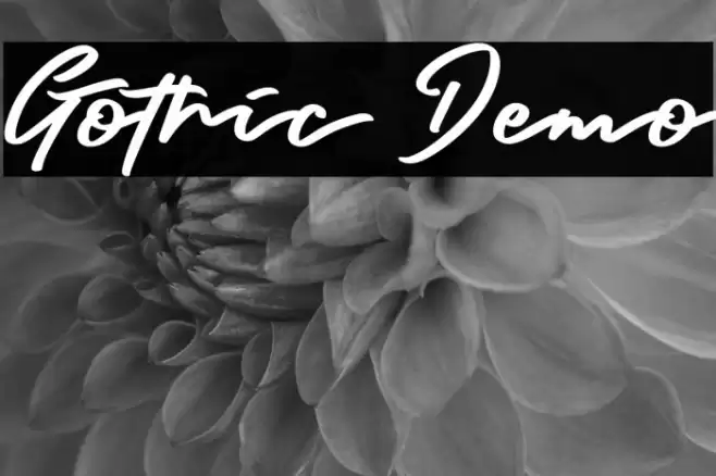 Gothic Demo Шрифта examples