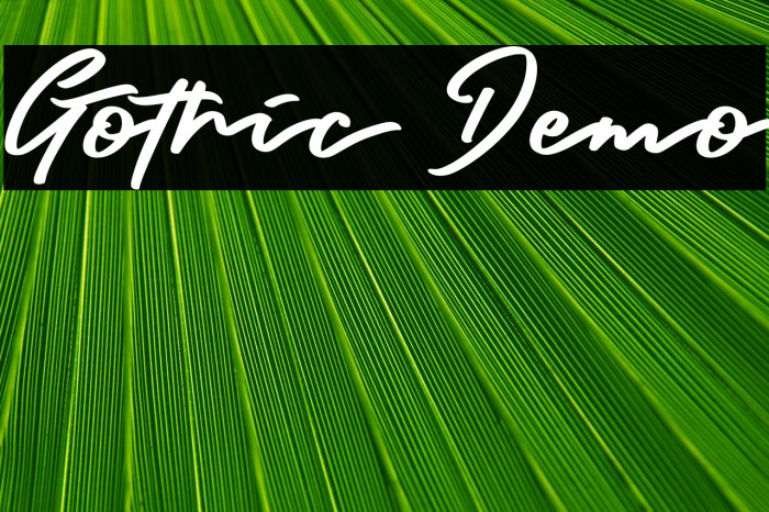 Gothic Demo Example 3