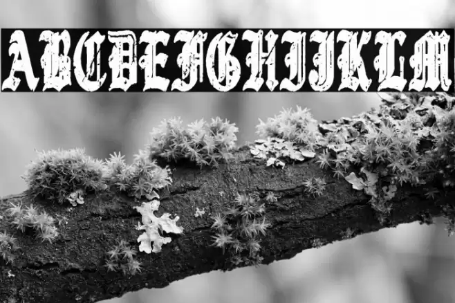 Gothic Destroyer Font examples