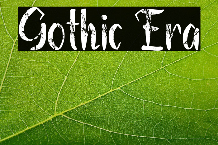 Gothic Era Example 1