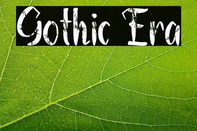 Gothic Era Example 1