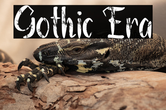 Gothic Era Example 2