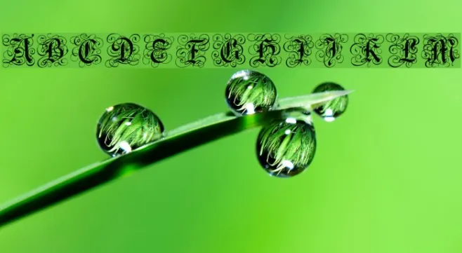 Gothic Flourish Example 3