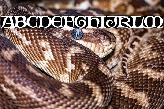 Gothic Manus Example 3