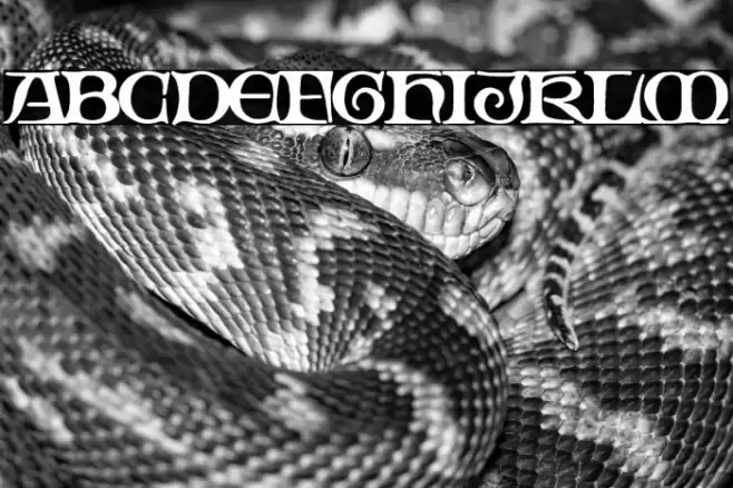 Gothic Manus Font examples