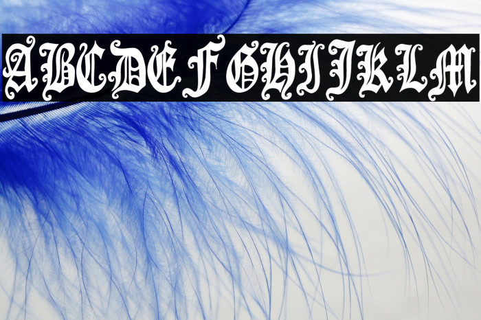 Gothic Panceta Example 3