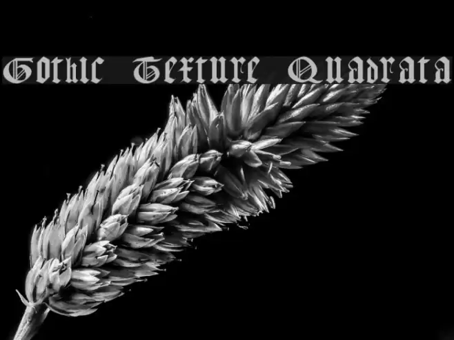 Gothic Texture Quadrata Polices examples