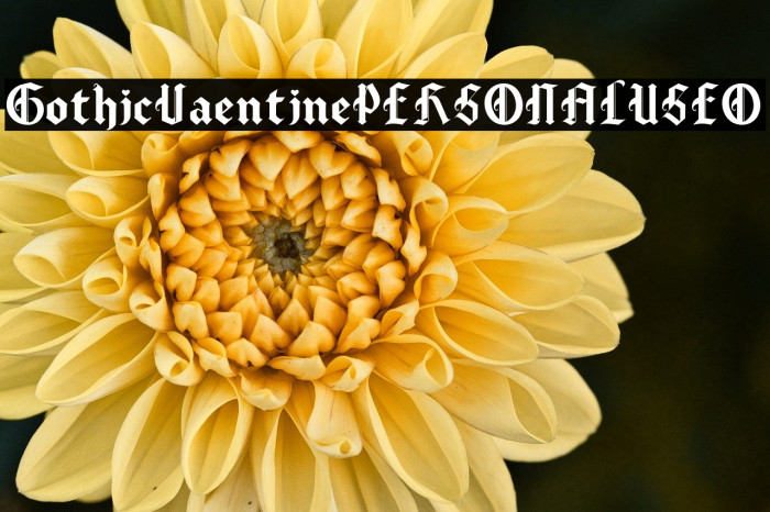 Gothic Valentine PERSONAL USE O Example 3