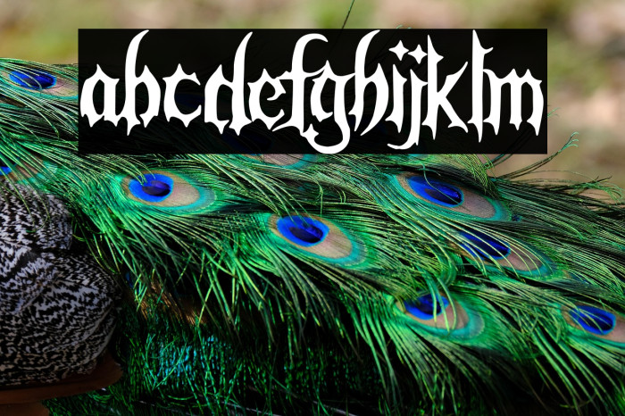 Gothic War Example 3