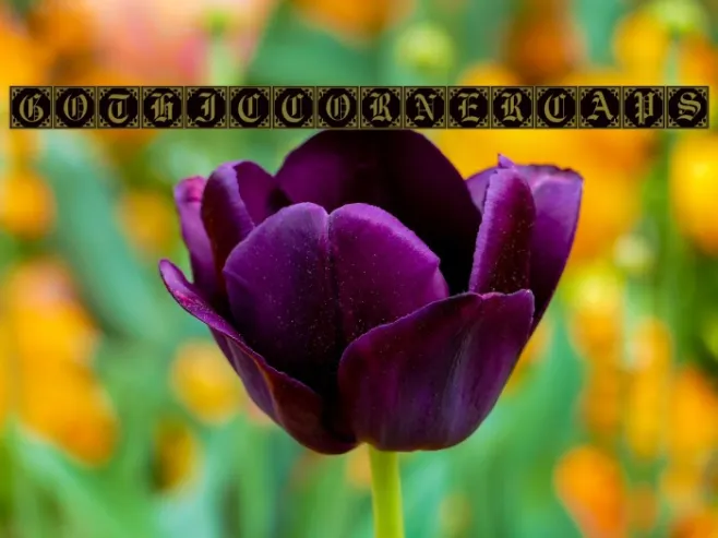 GothicCornerCaps Example 3