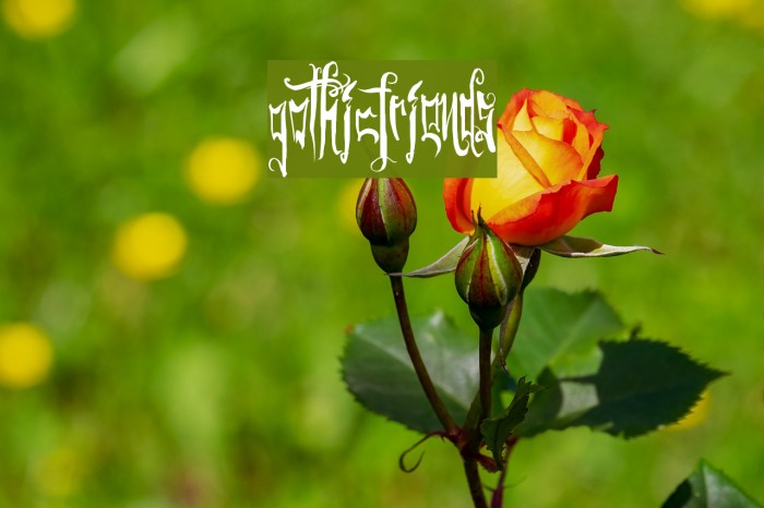 GothicFriends Example 1