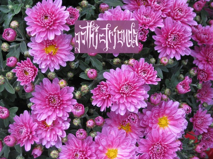 GothicFriends Example 3