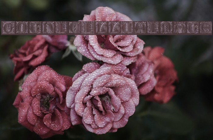 GothicIlluminate Font examples