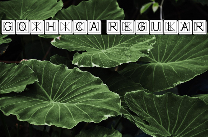 Gothica Regular Example 2