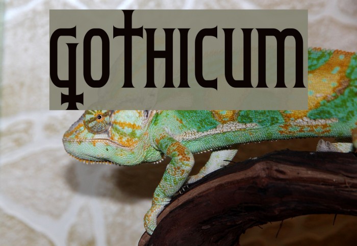 Gothicum Font examples